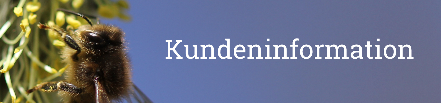 kundeninfo_2017.png